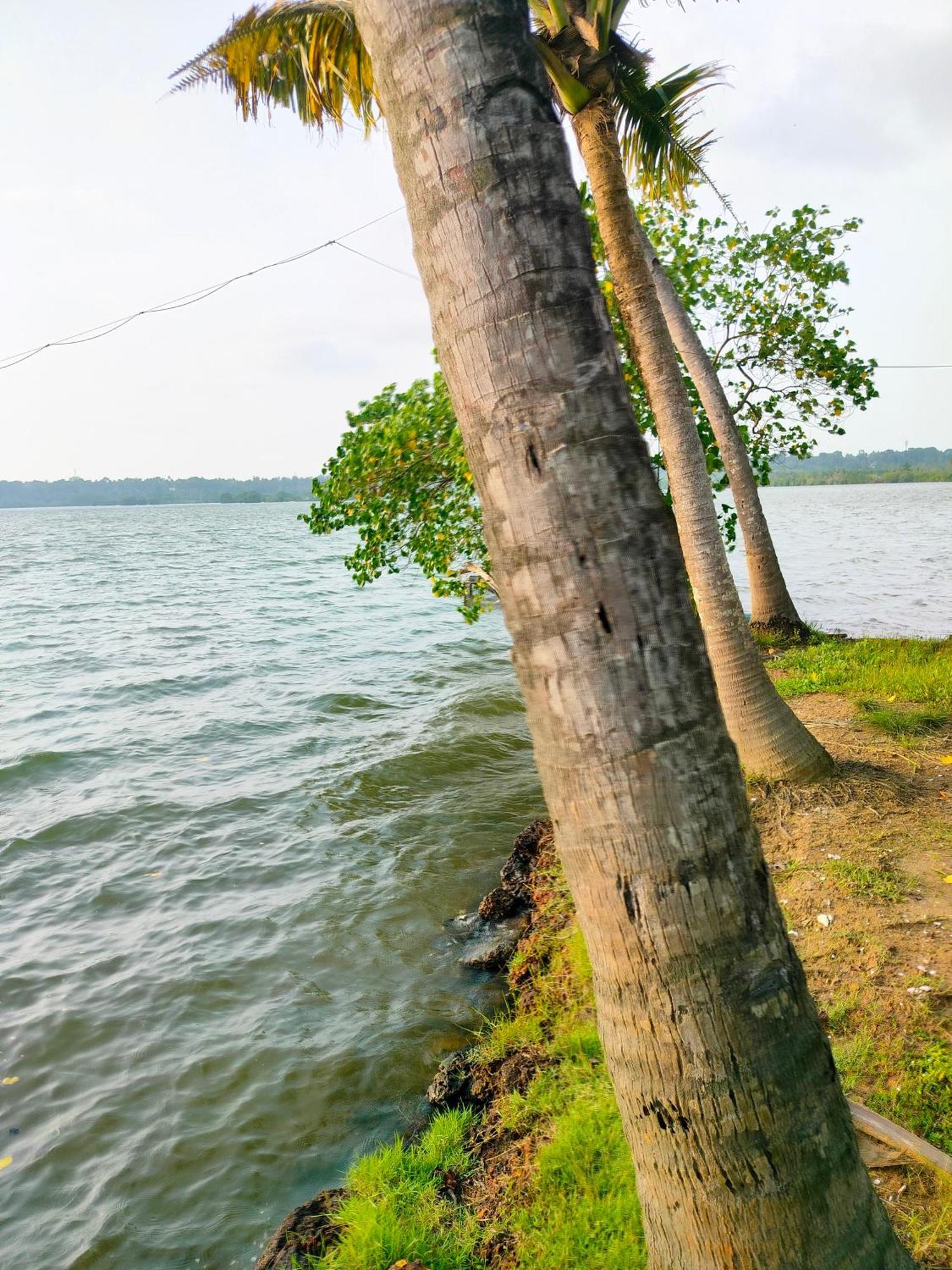Munroe Inn Homestay Kollam Ngoại thất bức ảnh